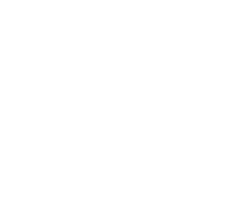 SEO optimization icon