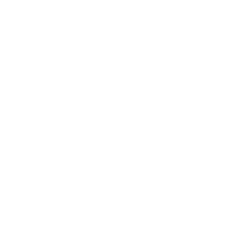 Google Ads icon